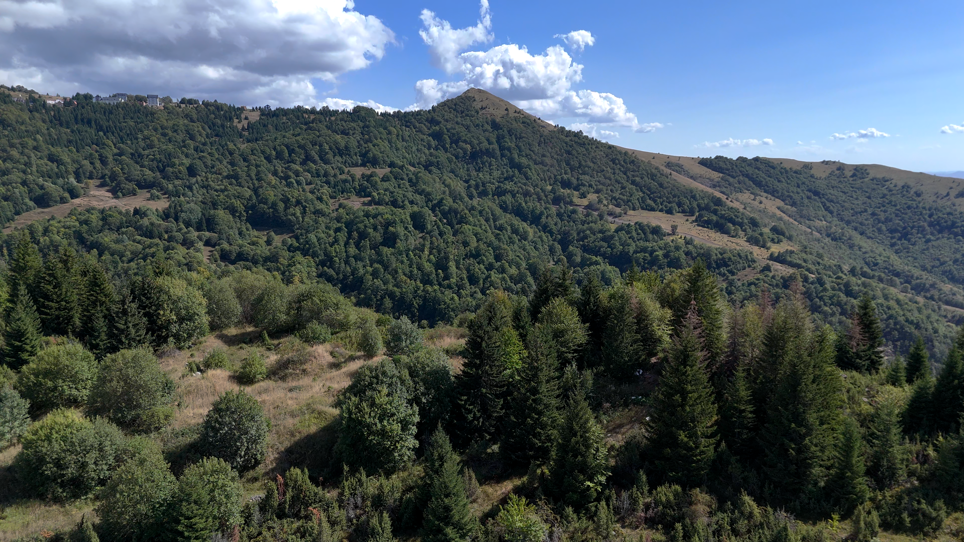 Planina Kopaonik